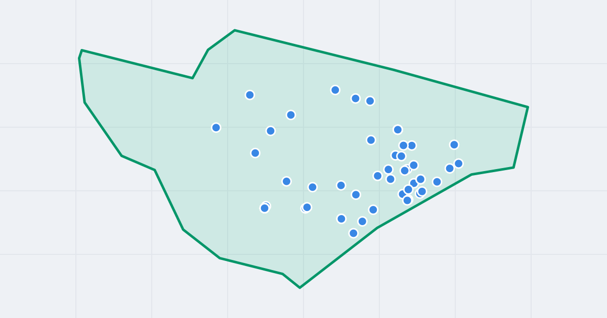 Mapa: Nowy Dwór z flipami